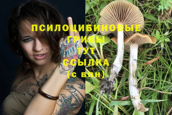 марки nbome Аркадак